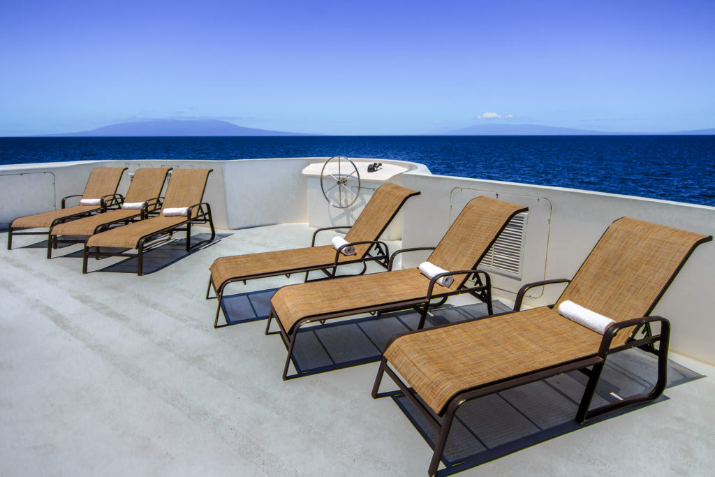 Treasure of Galapagos Lounge Chairs