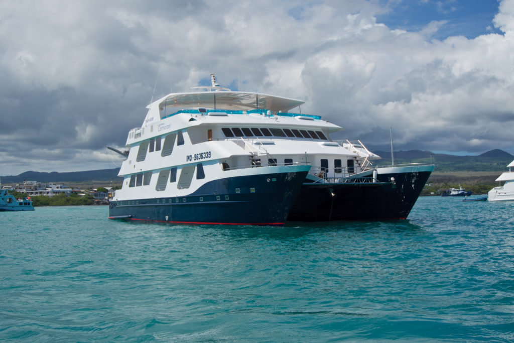 Luxury Cruise Galapagos
