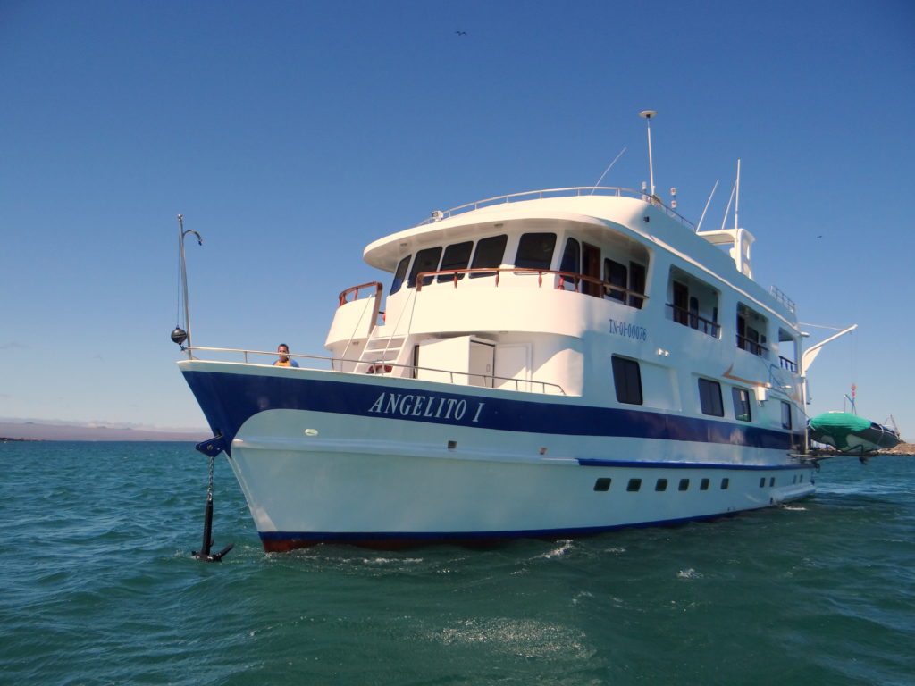 Angelito the best budget friendly Galapagos cruise