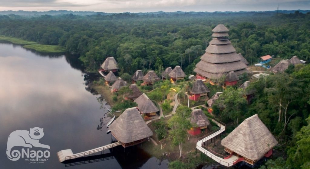 Aerial view of the Napo Wildlife Center and its main tower