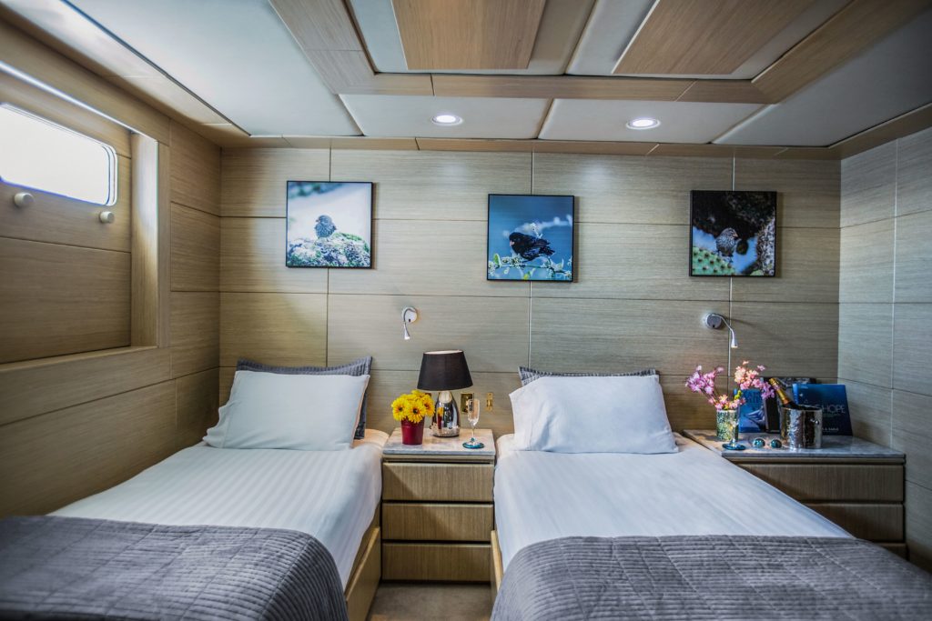 Spacious and luxurious staterooms aboard the best Galapagos private charter