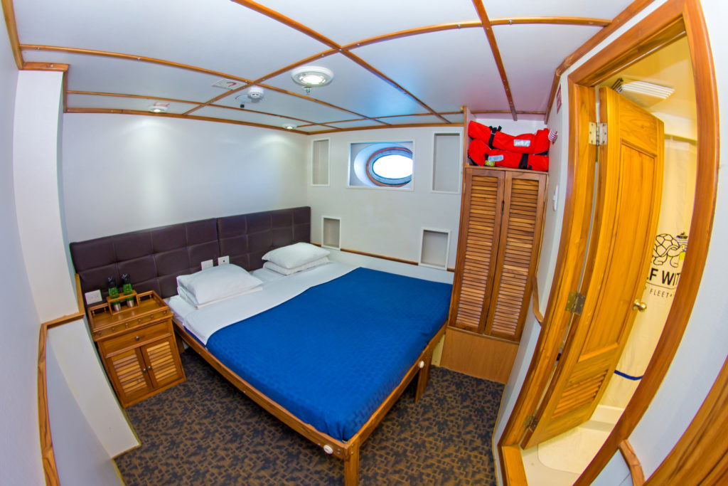 Tip Top IV Lower deck double cabin