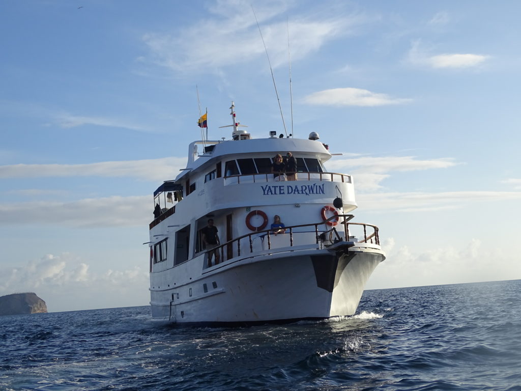 Darwin Yacht the Cheapest Galapagos Cruise
