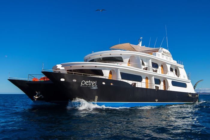 Petrel Deluxe Luxury Cruise in the Galapagos 