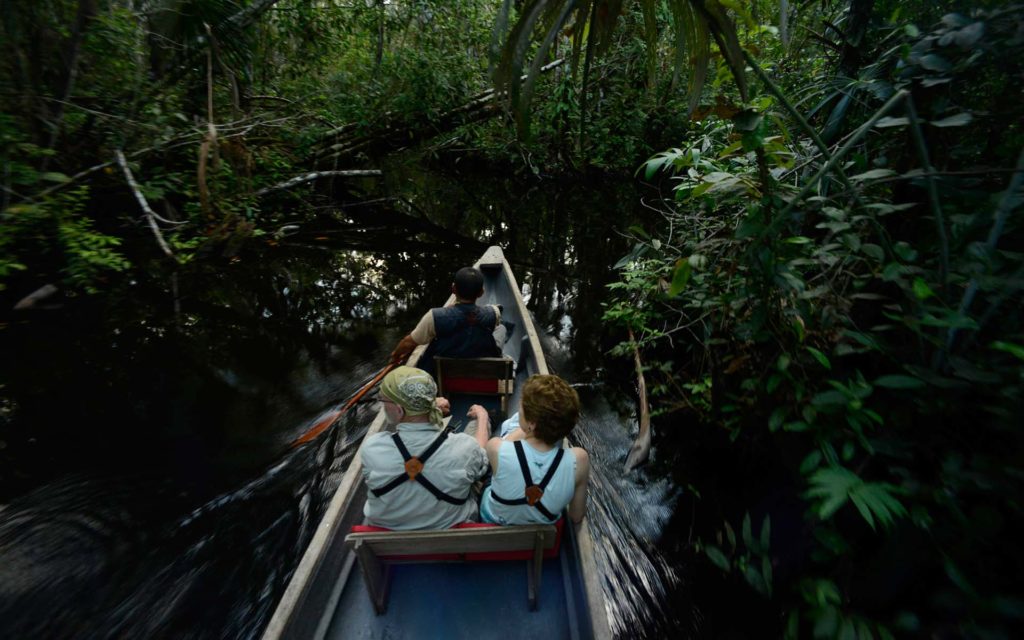 Visit the Amazon at Sacha Lodge