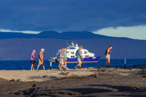 How much does a Galapagos Cruise Cost?