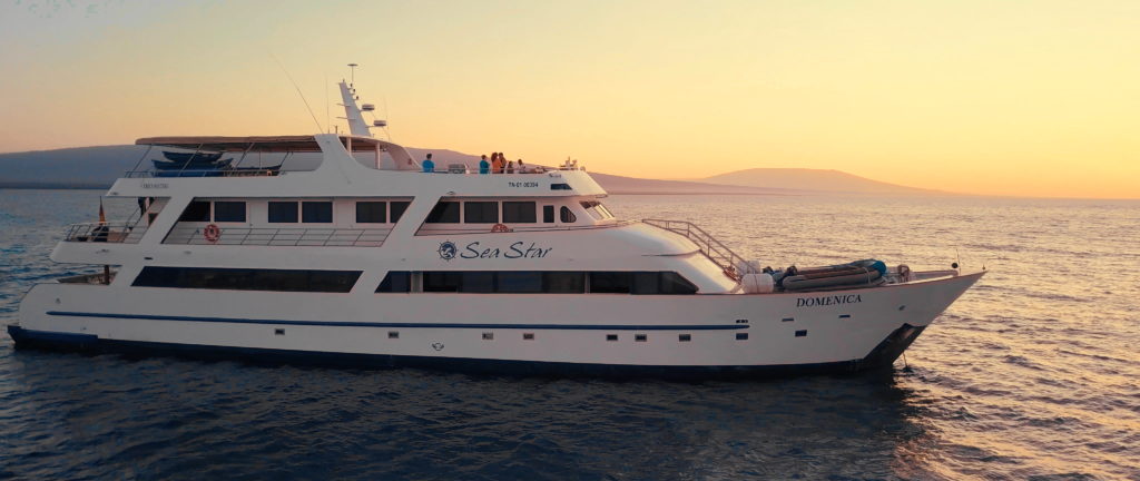 Perfect Galapagos Luxury Cruise