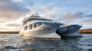 Top 5 Galapagos Charters