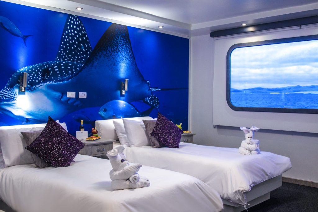 Convertible Staterooms onboard the Camila Trimaran