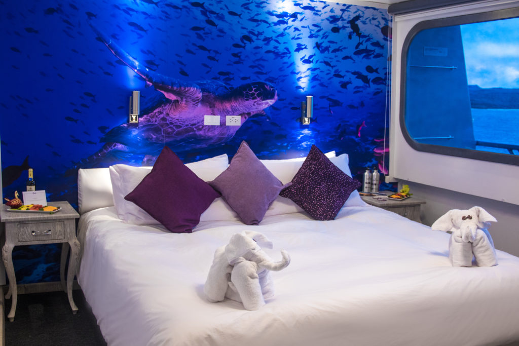 Beautiful Stateroom decor make for the Finest Galapagos Luxury Experience