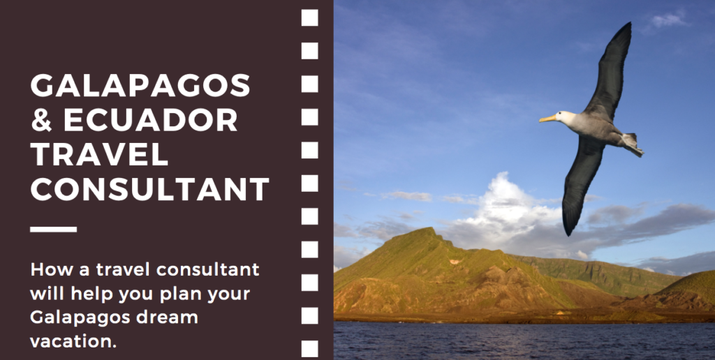5 reasons to use a Galapagos Travel Consultant