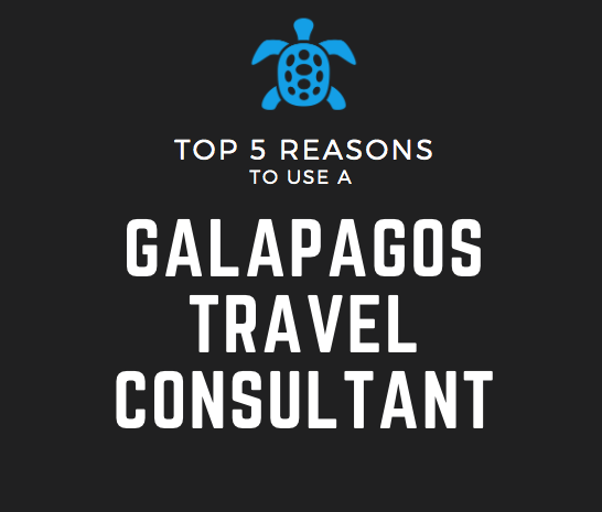 Top 5 Reasons to use a Galapagos Travel Consultant