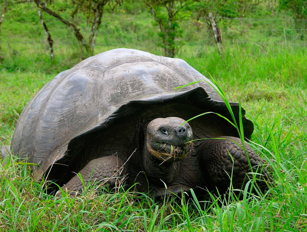 land tours Galapagos Islands