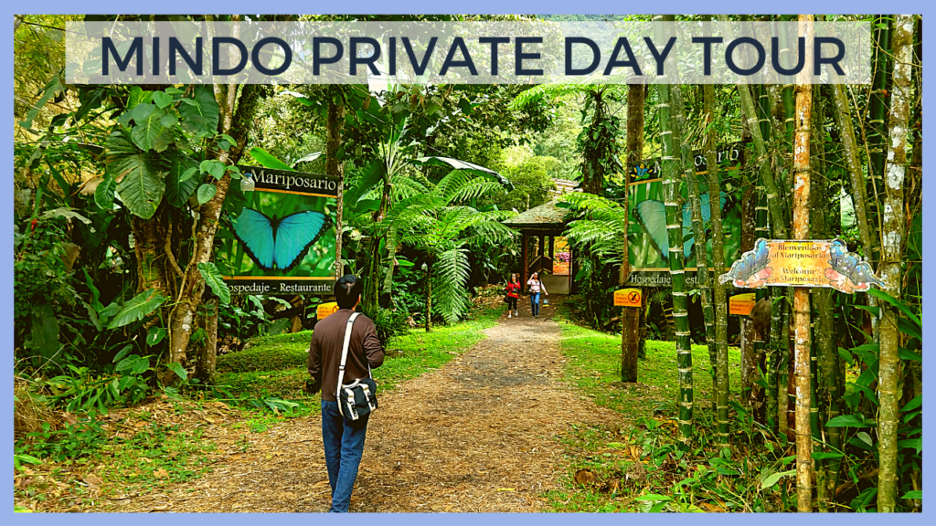 mindo cloud forest day tour