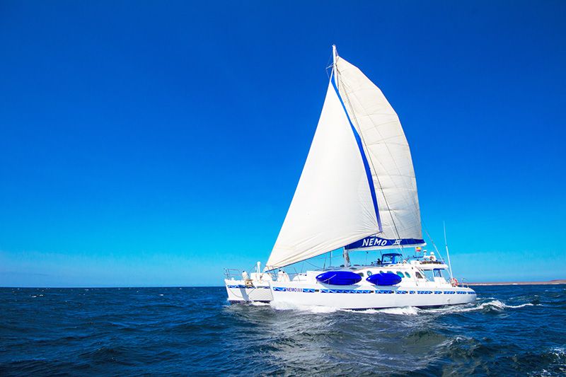 First Class Galapagos Catamaran