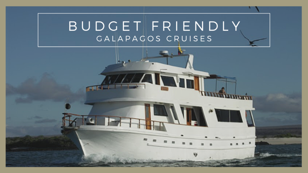 BudgetFriendly Cruises GALAPAGOS CONNOISSEUR