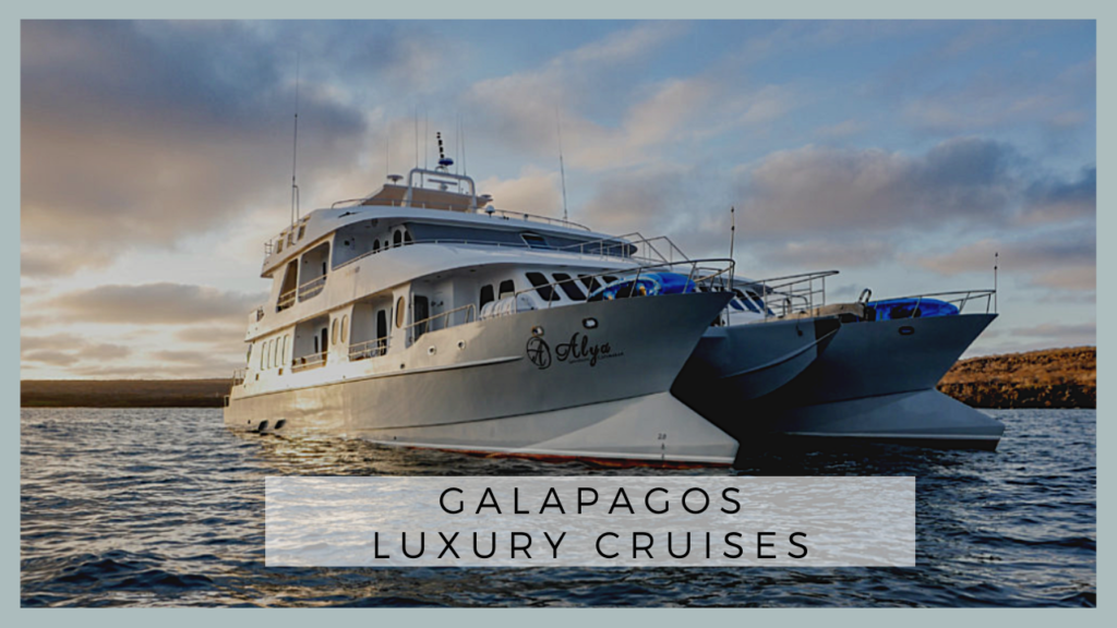 Galapagos Luxury Cruises