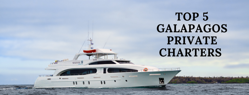 Top 5 Galapagos Charters