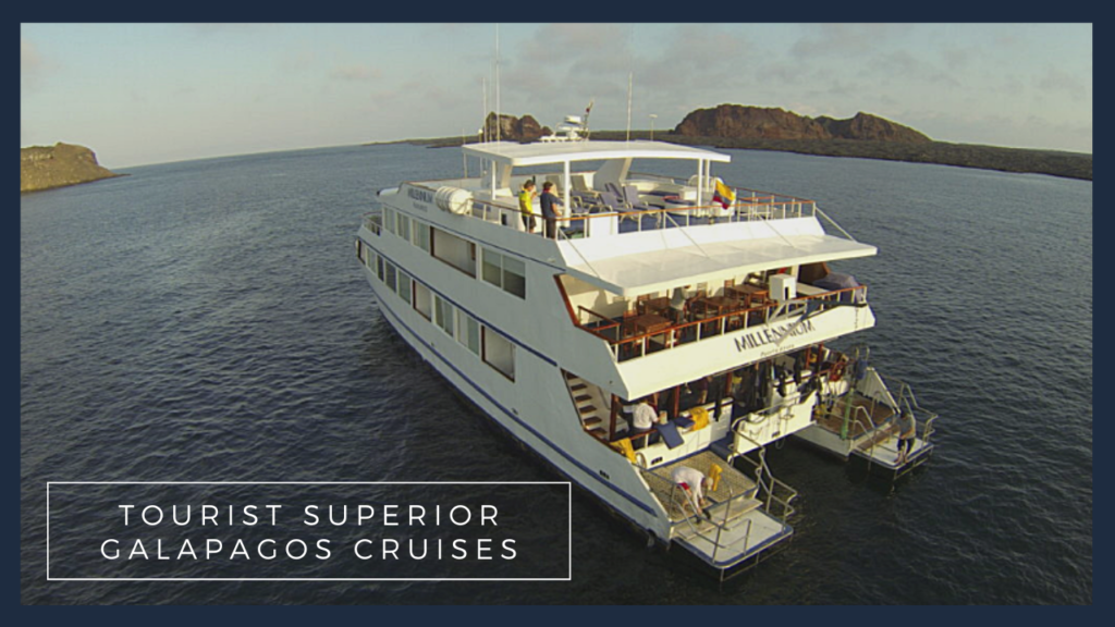 Comfortable Galapagos Cruises