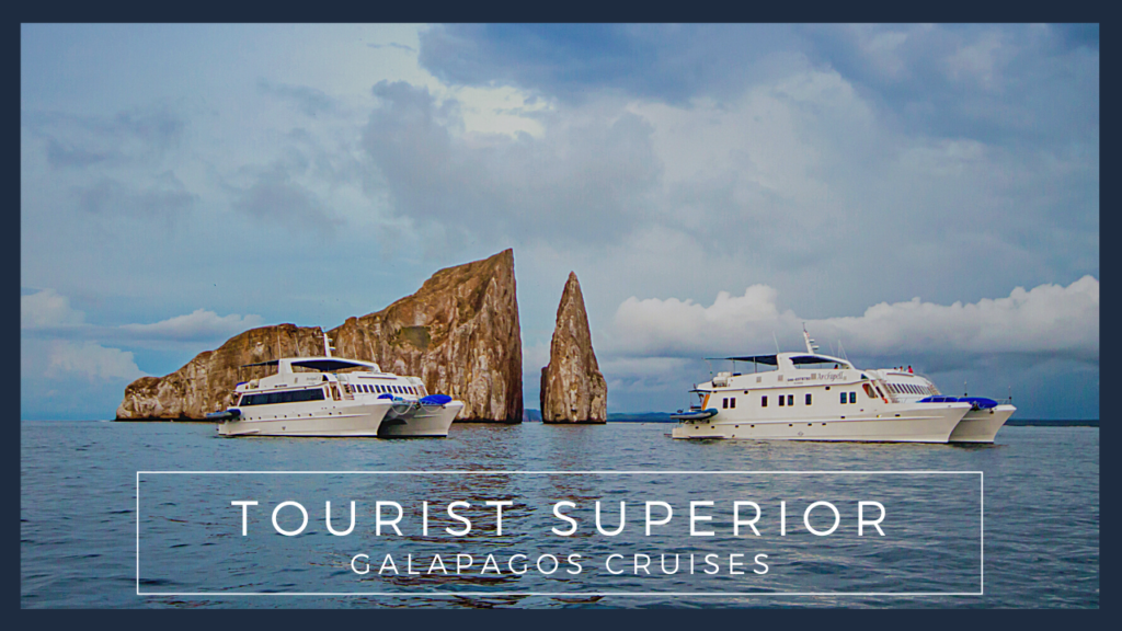 Tourist Superior Galapagos Cruises