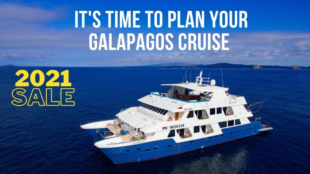 Galapagos Cruise 2021