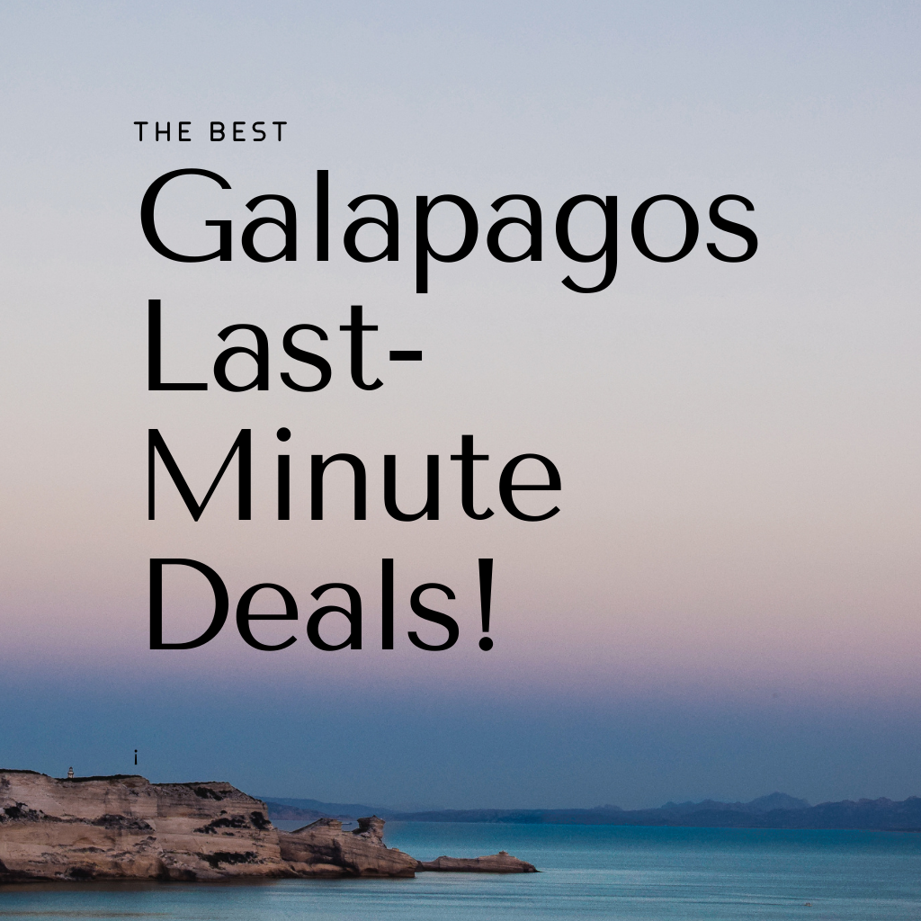 The Best Galapagos Last Minute Deals