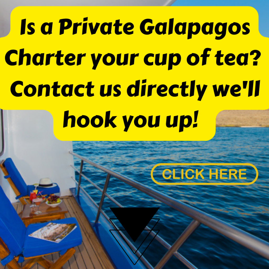 Galapagos Private Charters