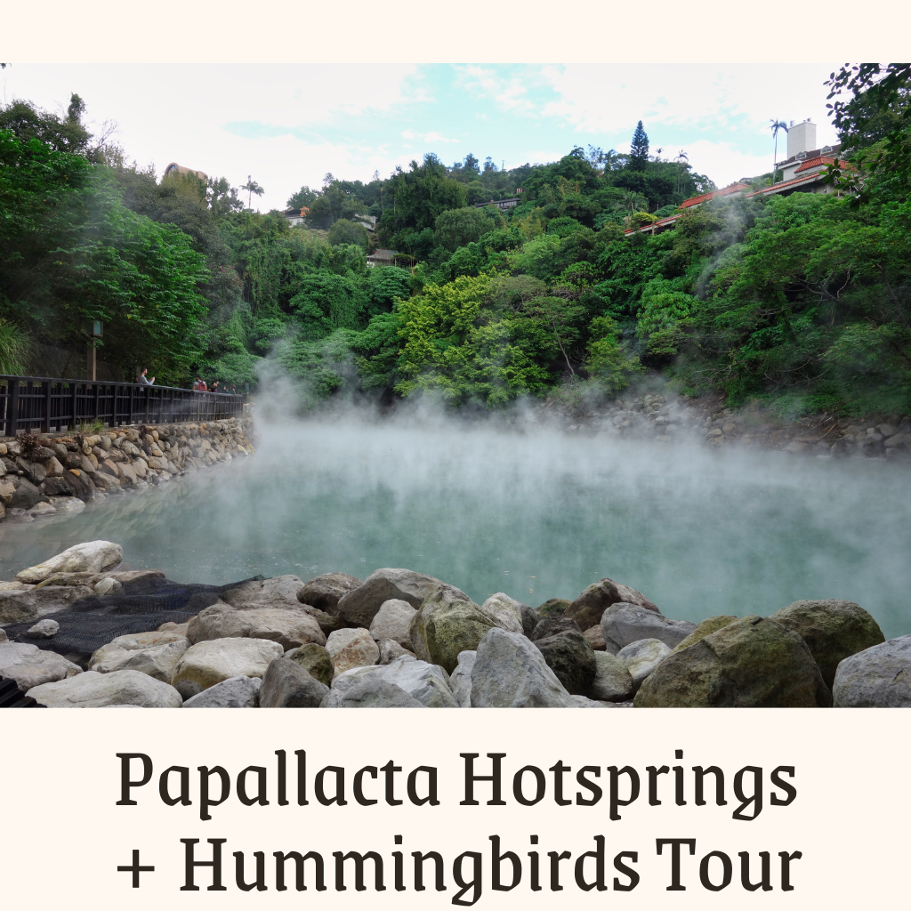 Visit the Papallacta Hotsprings and mingle with hummingbirds at Guango Lodge