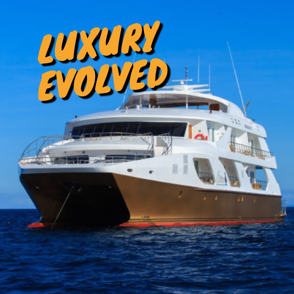 Luxury Galapagos Cruises