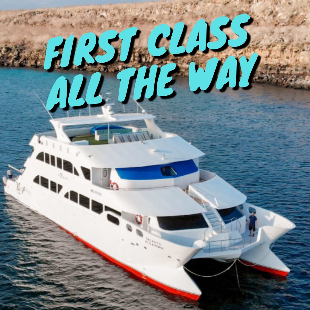 First-Class Galapagos Tours all the way