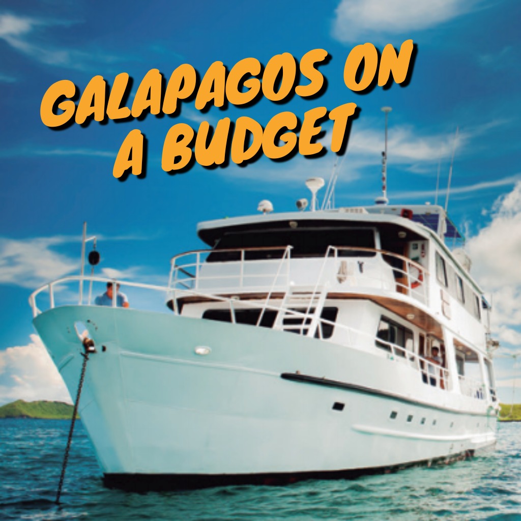 Galapagos on a Budget